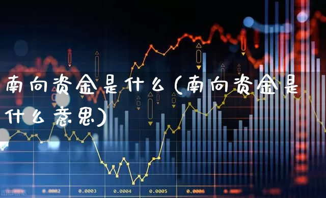 南向资金是什么(南向资金是什么意思)_https://www.haiwangdasha.com_深交所_第1张