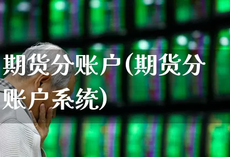 期货分账户(期货分账户系统)_https://www.haiwangdasha.com_科创板_第1张