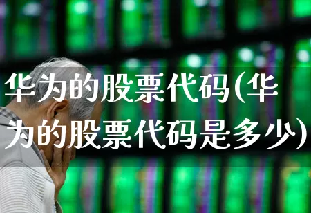 华为的股票代码(华为的股票代码是多少)_https://www.haiwangdasha.com_北交所_第1张