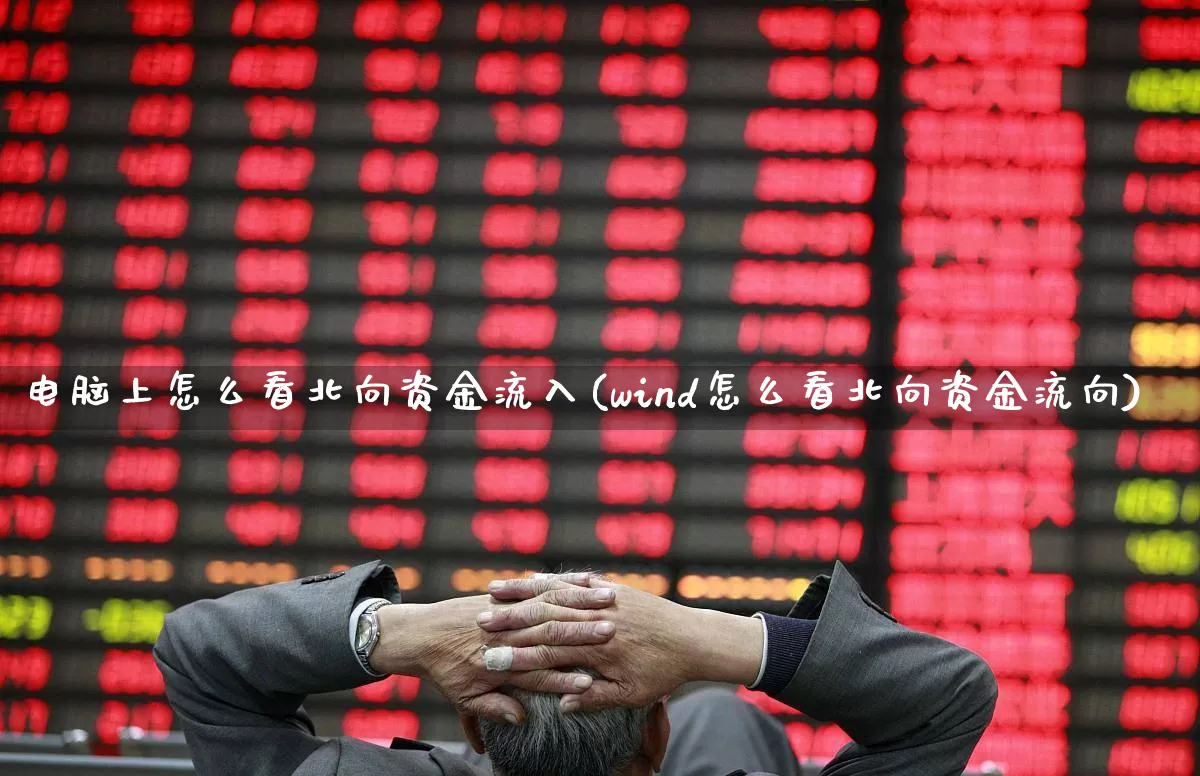 电脑上怎么看北向资金流入(wind怎么看北向资金流向)_https://www.haiwangdasha.com_科创板_第1张