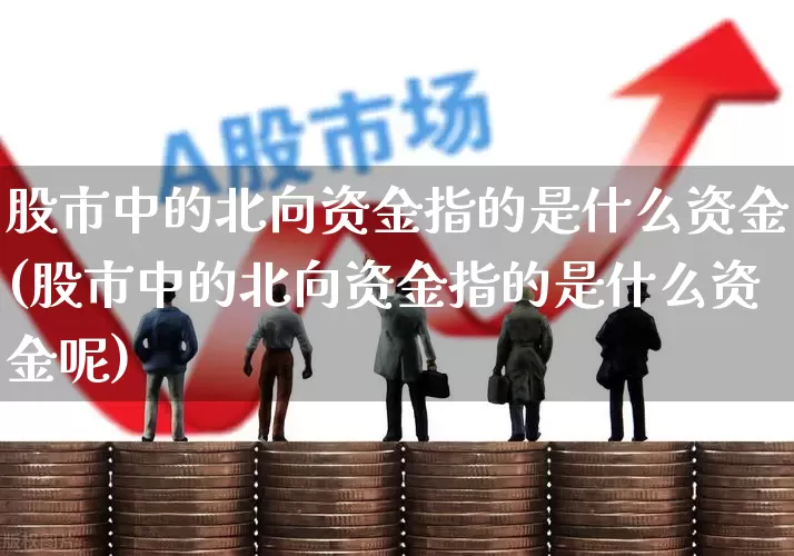 股市中的北向资金指的是什么资金(股市中的北向资金指的是什么资金呢)_https://www.haiwangdasha.com_上交所_第1张