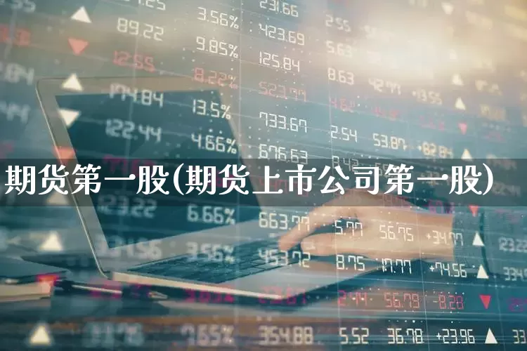 期货第一股(期货上市公司第一股)_https://www.haiwangdasha.com_深交所_第1张