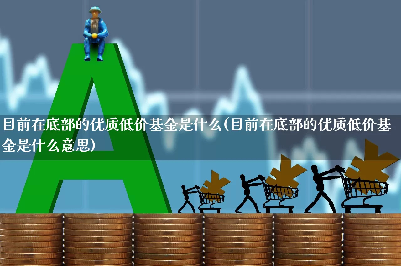 目前在底部的优质低价基金是什么(目前在底部的优质低价基金是什么意思)_https://www.haiwangdasha.com_上交所_第1张