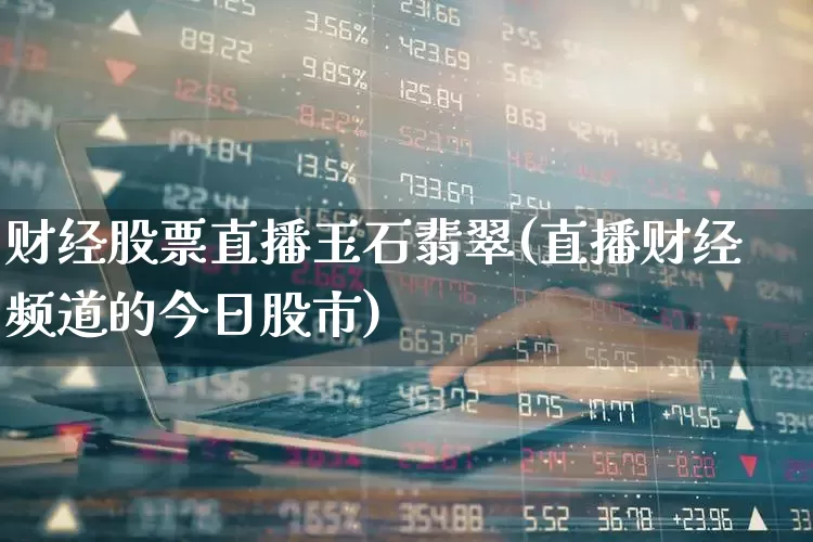 财经股票直播玉石翡翠(直播财经频道的今日股市)_https://www.haiwangdasha.com_上交所_第1张