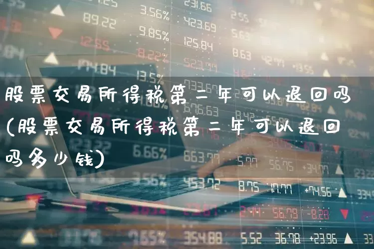 股票交易所得税第二年可以退回吗(股票交易所得税第二年可以退回吗多少钱)_https://www.haiwangdasha.com_创业板_第1张