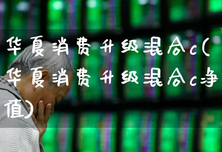 华夏消费升级混合c(华夏消费升级混合c净值)_https://www.haiwangdasha.com_科创板_第1张