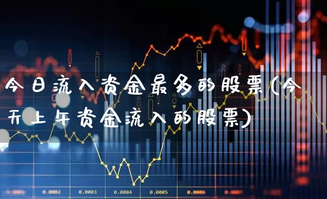 今日流入资金最多的股票(今天上午资金流入的股票)_https://www.haiwangdasha.com_北交所_第1张