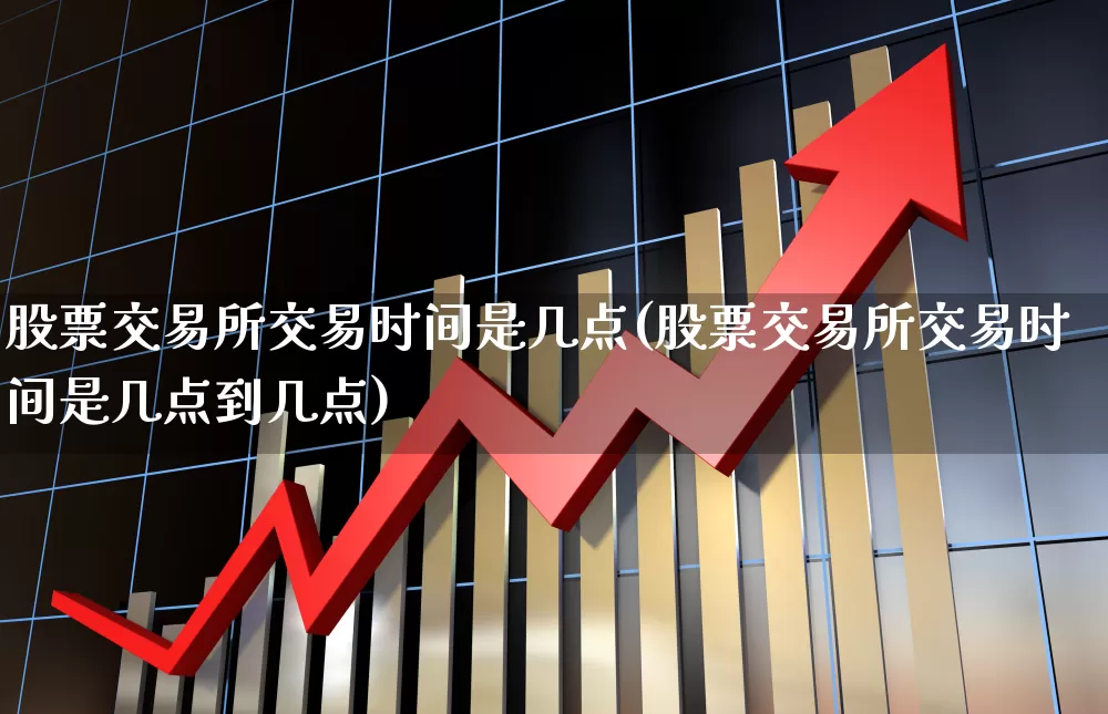 股票交易所交易时间是几点(股票交易所交易时间是几点到几点)_https://www.haiwangdasha.com_创业板_第1张