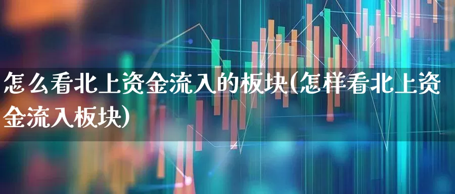 怎么看北上资金流入的板块(怎样看北上资金流入板块)_https://www.haiwangdasha.com_上交所_第1张
