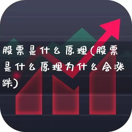 股票是什么原理(股票是什么原理为什么会涨跌)_https://www.haiwangdasha.com_深交所_第1张