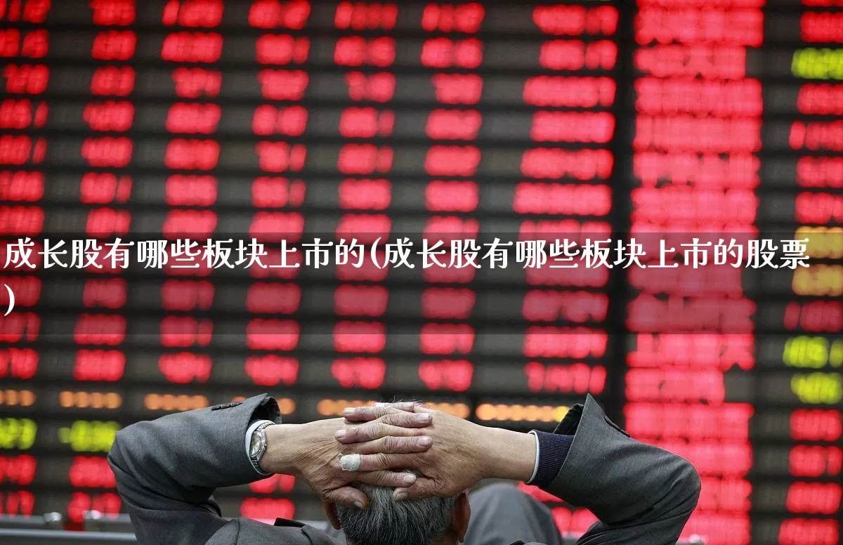 成长股有哪些板块上市的(成长股有哪些板块上市的股票)_https://www.haiwangdasha.com_北交所_第1张