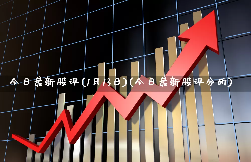 今日最新股评(1月13日)(今日最新股评分析)_https://www.haiwangdasha.com_科创板_第1张