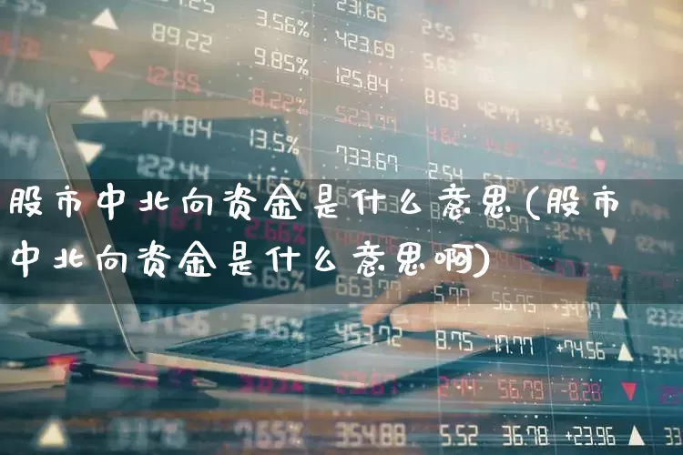 股市中北向资金是什么意思(股市中北向资金是什么意思啊)_https://www.haiwangdasha.com_深交所_第1张