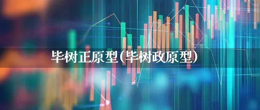毕树正原型(毕树政原型)_https://www.haiwangdasha.com_科创板_第1张