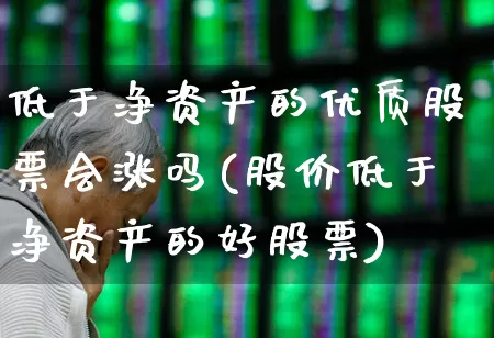 低于净资产的优质股票会涨吗(股价低于净资产的好股票)_https://www.haiwangdasha.com_深交所_第1张