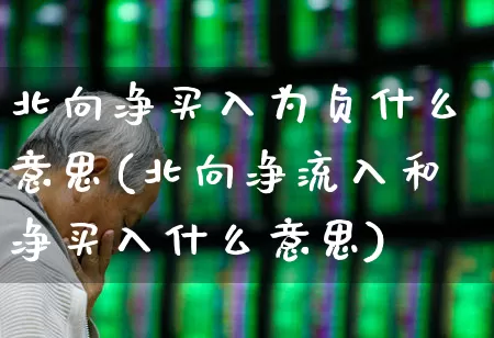 北向净买入为负什么意思(北向净流入和净买入什么意思)_https://www.haiwangdasha.com_科创板_第1张