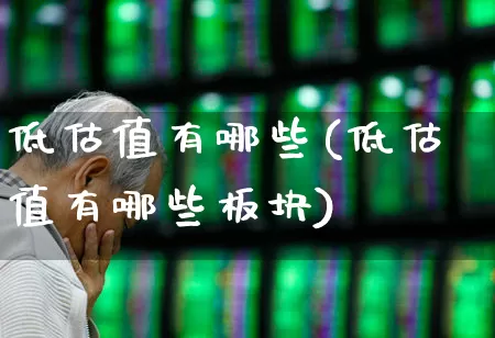 低估值有哪些(低估值有哪些板块)_https://www.haiwangdasha.com_北交所_第1张