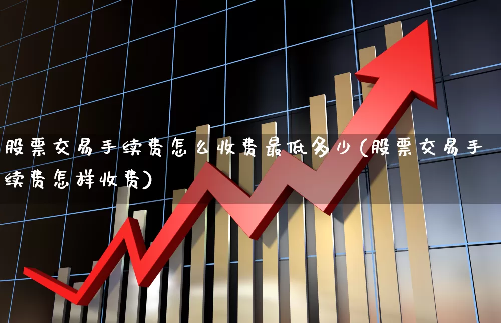 股票交易手续费怎么收费最低多少(股票交易手续费怎样收费)_https://www.haiwangdasha.com_上交所_第1张