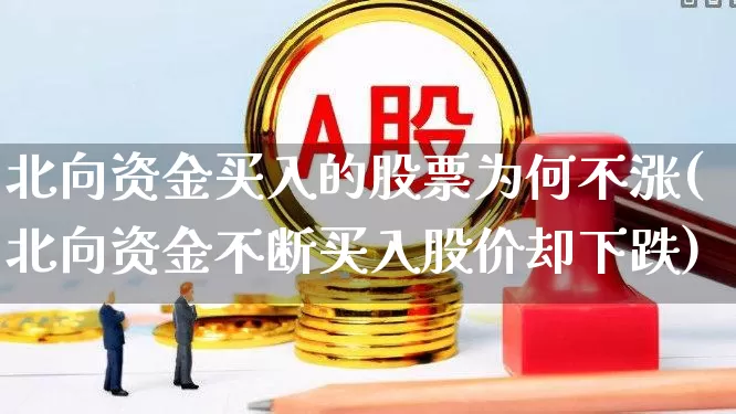 北向资金买入的股票为何不涨(北向资金不断买入股价却下跌)_https://www.haiwangdasha.com_北交所_第1张