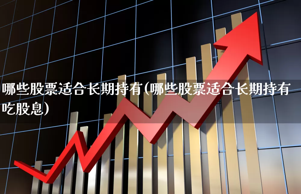 哪些股票适合长期持有(哪些股票适合长期持有吃股息)_https://www.haiwangdasha.com_深交所_第1张