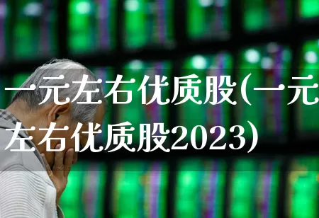 一元左右优质股(一元左右优质股2023)_https://www.haiwangdasha.com_北交所_第1张