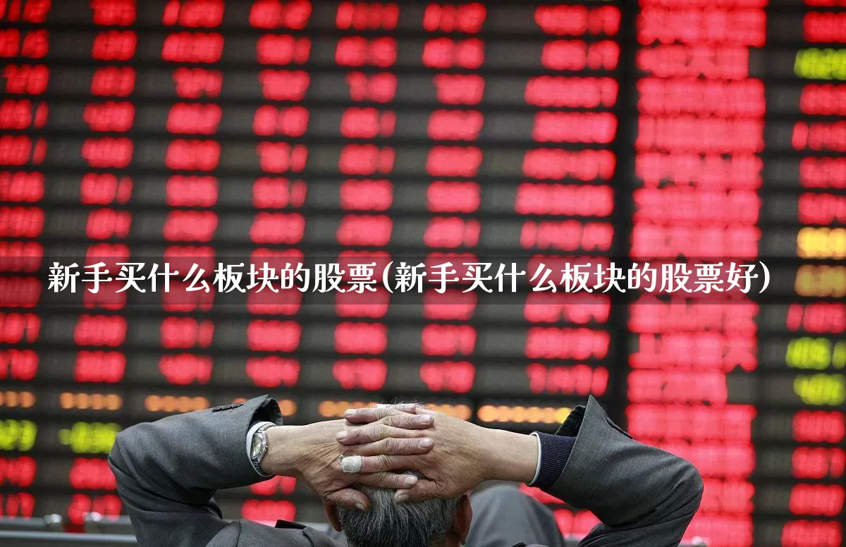 新手买什么板块的股票(新手买什么板块的股票好)_https://www.haiwangdasha.com_创业板_第1张