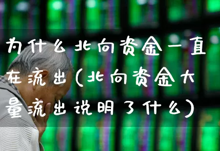 为什么北向资金一直在流出(北向资金大量流出说明了什么)_https://www.haiwangdasha.com_深交所_第1张