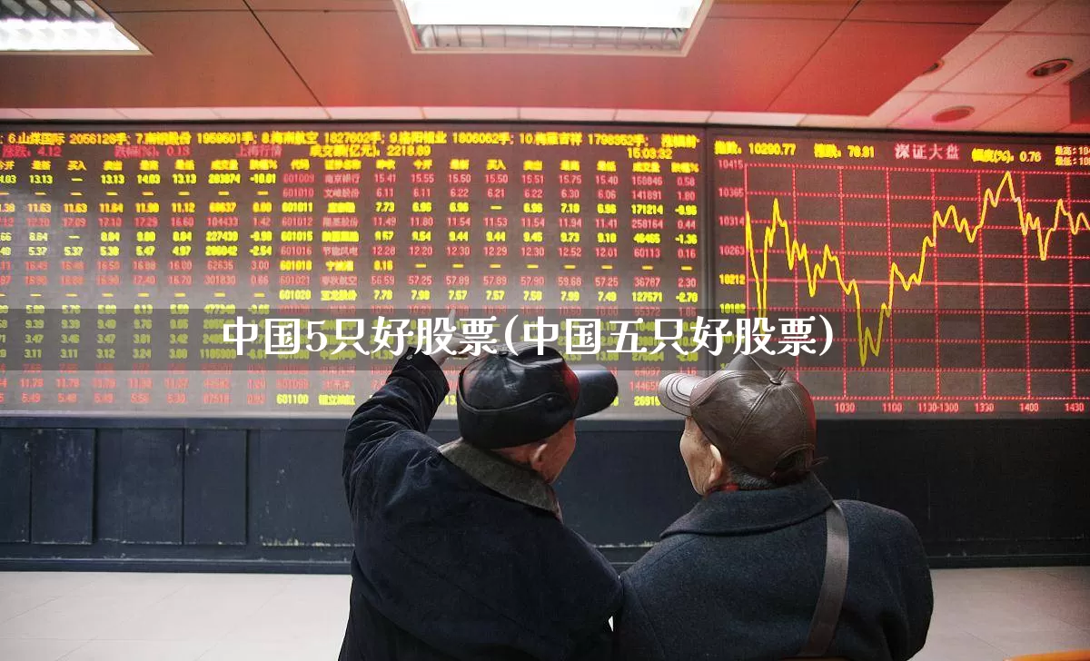中国5只好股票(中国五只好股票)_https://www.haiwangdasha.com_北交所_第1张