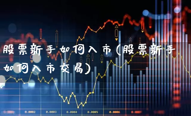 股票新手如何入市(股票新手如何入市交易)_https://www.haiwangdasha.com_上交所_第1张