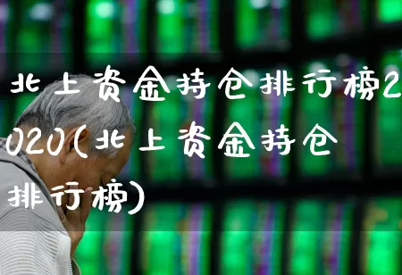北上资金持仓排行榜2020(北上资金持仓排行榜)_https://www.haiwangdasha.com_上交所_第1张