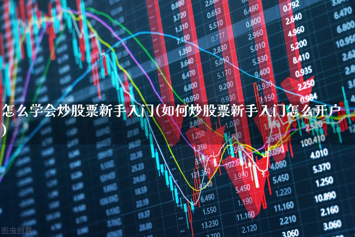 怎么学会炒股票新手入门(如何炒股票新手入门怎么开户)_https://www.haiwangdasha.com_科创板_第1张