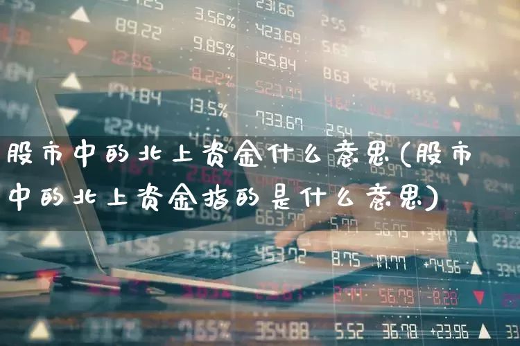 股市中的北上资金什么意思(股市中的北上资金指的是什么意思)_北交所_第1张_财经网 股市中的北上资金什么意思(股市中的北上资金指的是什么意思)_https://www.haiwangdasha.com_北交所_第1张
