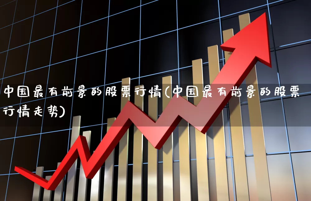 中国最有前景的股票行情(中国最有前景的股票行情走势)_https://www.haiwangdasha.com_深交所_第1张
