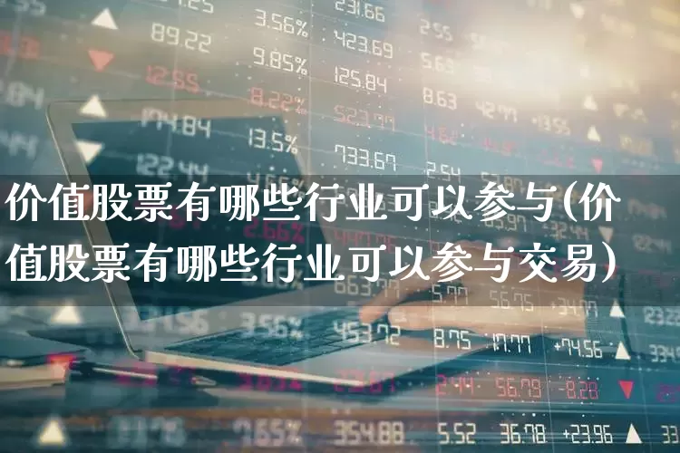 价值股票有哪些行业可以参与(价值股票有哪些行业可以参与交易)_https://www.haiwangdasha.com_科创板_第1张