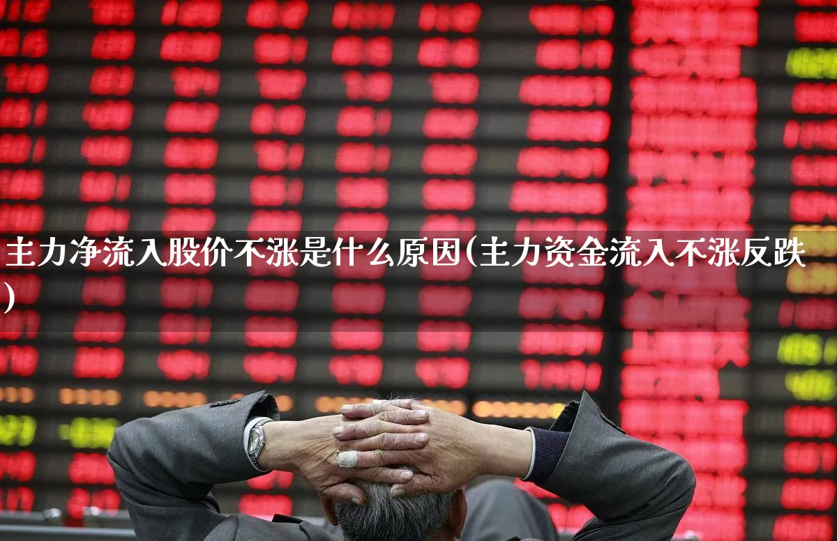 主力净流入股价不涨是什么原因(主力资金流入不涨反跌)_https://www.haiwangdasha.com_上交所_第1张