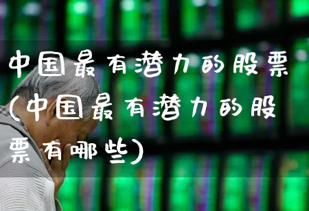 中国最有潜力的股票(中国最有潜力的股票有哪些)_https://www.haiwangdasha.com_创业板_第1张