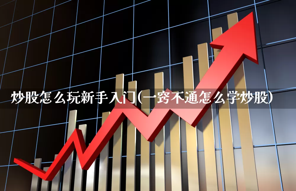 炒股怎么玩新手入门(一窍不通怎么学炒股)_https://www.haiwangdasha.com_北交所_第1张