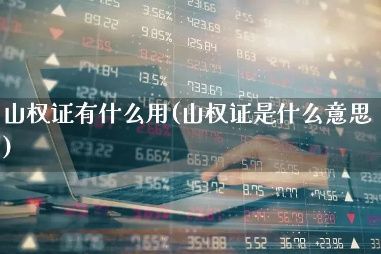 山权证有什么用(山权证是什么意思)_https://www.haiwangdasha.com_创业板_第1张
