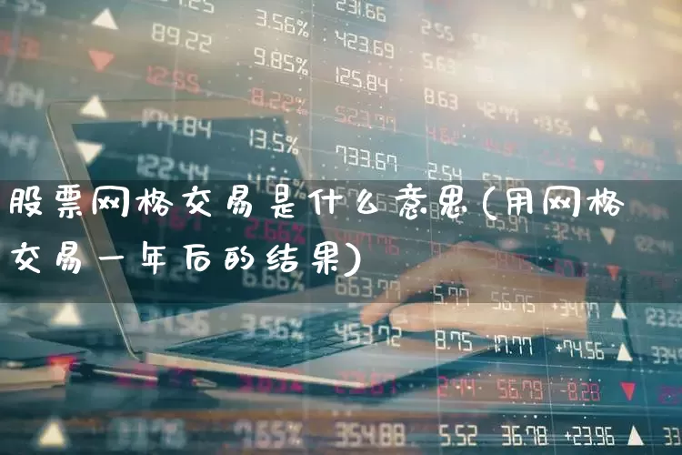 股票网格交易是什么意思(用网格交易一年后的结果)_https://www.haiwangdasha.com_北交所_第1张