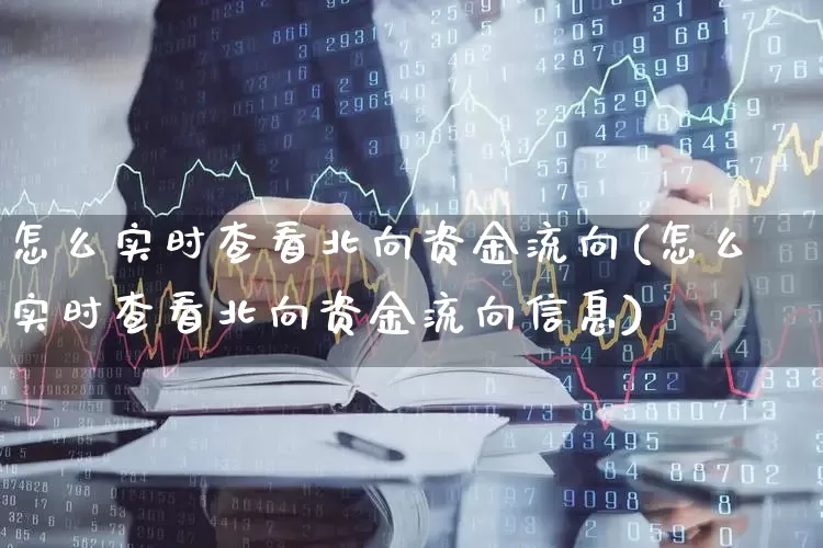 怎么实时查看北向资金流向(怎么实时查看北向资金流向信息)_https://www.haiwangdasha.com_科创板_第1张