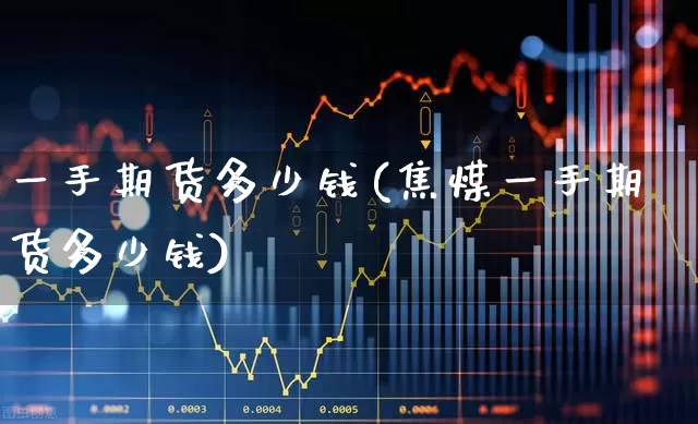 一手期货多少钱(焦煤一手期货多少钱)_https://www.haiwangdasha.com_广期所_第1张