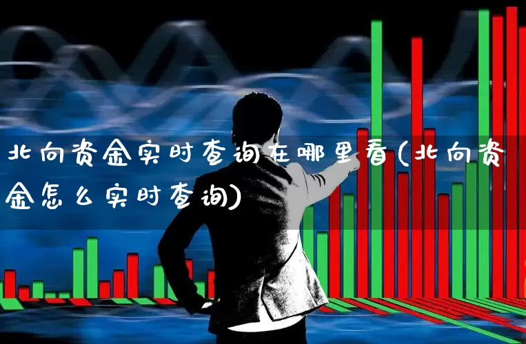 北向资金实时查询在哪里看(北向资金怎么实时查询)_https://www.haiwangdasha.com_科创板_第1张