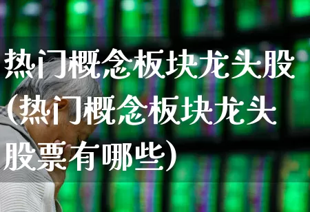 热门概念板块龙头股(热门概念板块龙头股票有哪些)_https://www.haiwangdasha.com_深交所_第1张