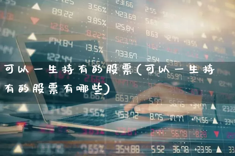 可以一生持有的股票(可以一生持有的股票有哪些)_https://www.haiwangdasha.com_上交所_第1张