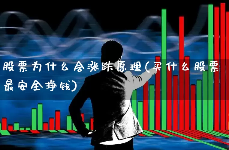 股票为什么会涨跌原理(买什么股票最安全挣钱)_https://www.haiwangdasha.com_创业板_第1张