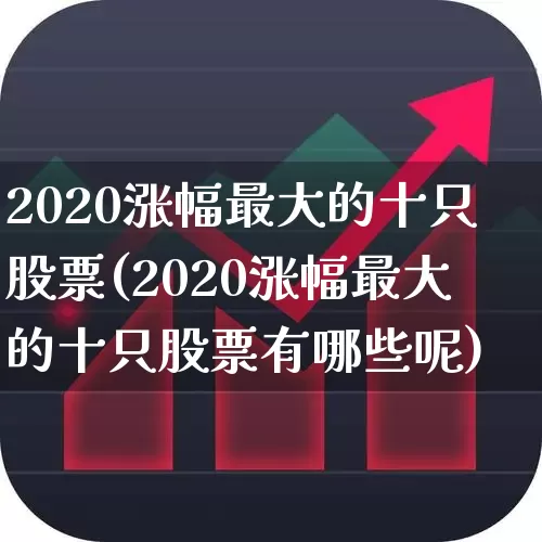 2020涨幅最大的十只股票(2020涨幅最大的十只股票有哪些呢)_https://www.haiwangdasha.com_科创板_第1张
