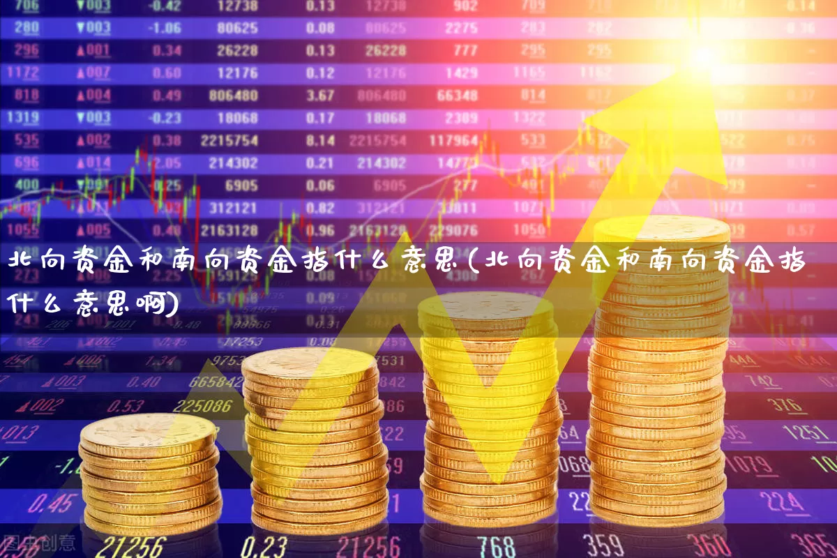 北向资金和南向资金指什么意思(北向资金和南向资金指什么意思啊)_https://www.haiwangdasha.com_北交所_第1张