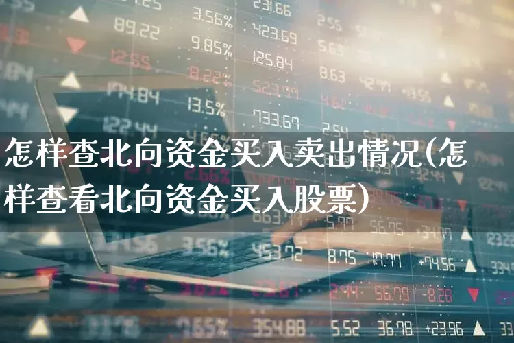 怎样查北向资金买入卖出情况(怎样查看北向资金买入股票)_https://www.haiwangdasha.com_深交所_第1张