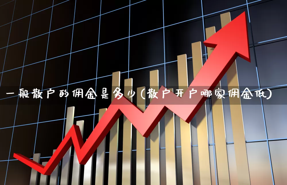 一般散户的佣金是多少(散户开户哪家佣金低)_https://www.haiwangdasha.com_深交所_第1张