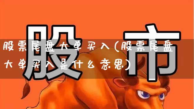 股票尾盘大单买入(股票尾盘大单买入是什么意思)_https://www.haiwangdasha.com_北交所_第1张